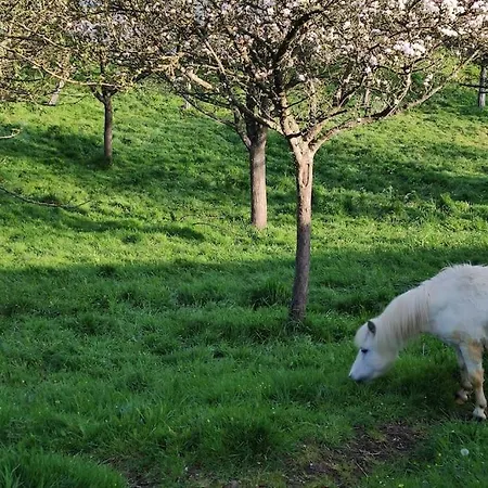 Appartamento équipé Au Sein D'une Fermette