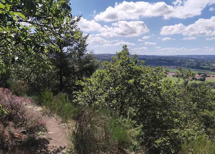 Equipe Au Sein D'une Fermette