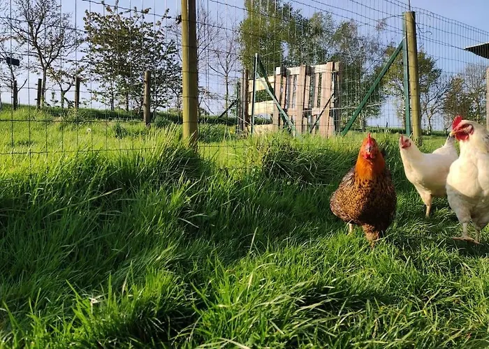 Equipe Au Sein D'une Fermette *