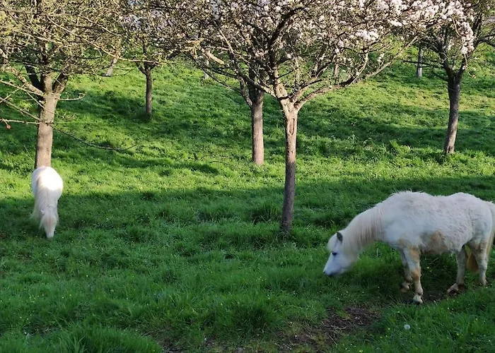 Apartment Equipe Au Sein D'une Fermette